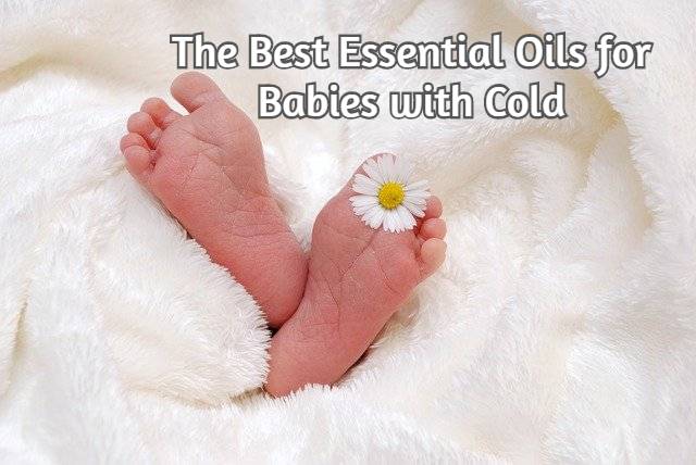 Essential Oils for Babies with Cold